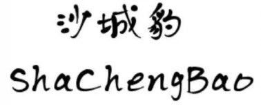 Dongguan  Shachengbao  Bagasi  Co.,Ltd